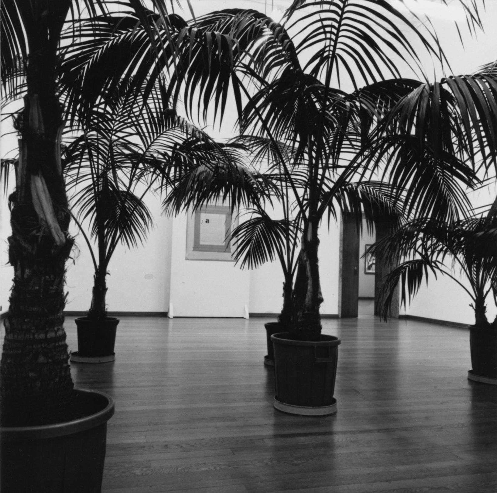 Interior Landscape